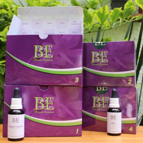Set Completo 38 Flores de Bach "BE" de 30ml + 2 Esencias Rescate