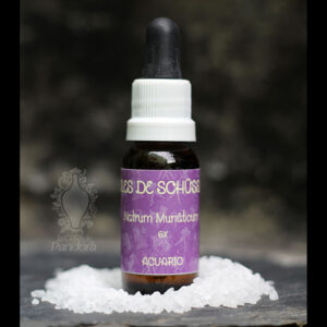 Natrum Muriaticum 6X