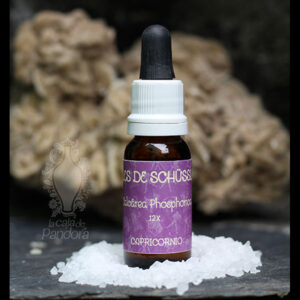 Calcárea Phosphórica, 12X