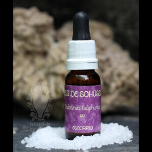 Calcárea Sulphurica 12X