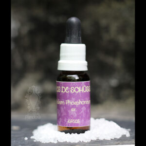 Kalium Phosphoricum 6X