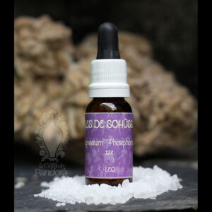 Magnesium Phosphoricum 12X