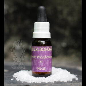 Ferrum Phosphoricum 6X