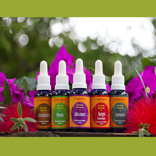 Set Ho'oponopono x 5, 30ml