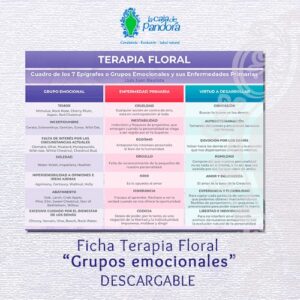 "Fichas Florales x 6" -  DESCARGABLES