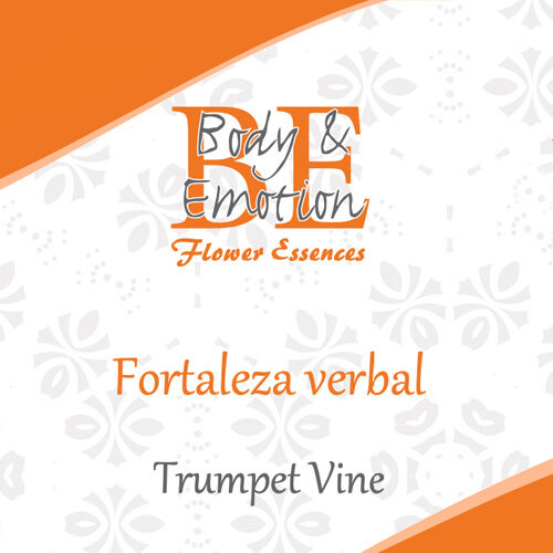 Flores de América BE