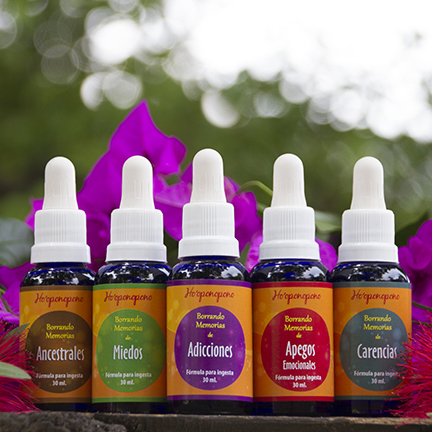 Formulas Ho'oponopono