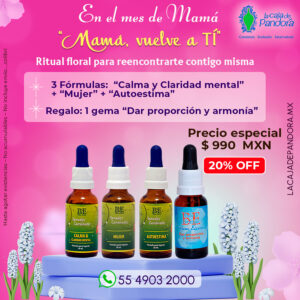 Promoción "Mamá, Vuelve a Tí"