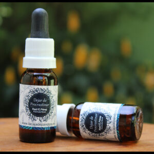 Dejar de Procrastinar