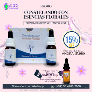 PROMO CONSTELANDO