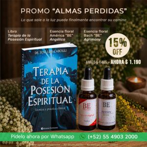 ALMAS PERDIDAS